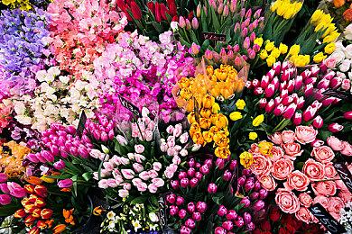 横板卡通动作《Cookie Cutter》12月14日正式发售