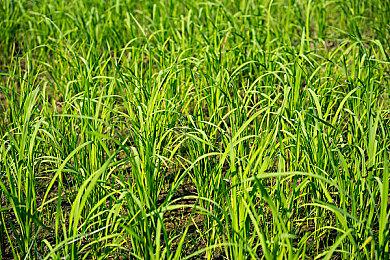 《光明破坏者》首发或褒贬不一 推出“社区推动”更新